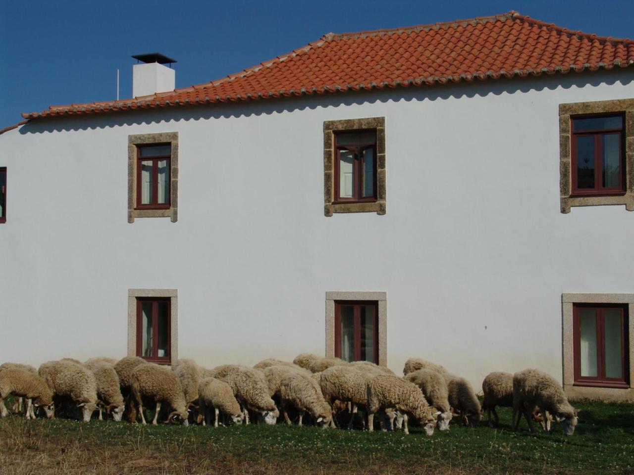 Quinta Da Alagoa Villa Santa Maria de Emeres Exterior photo